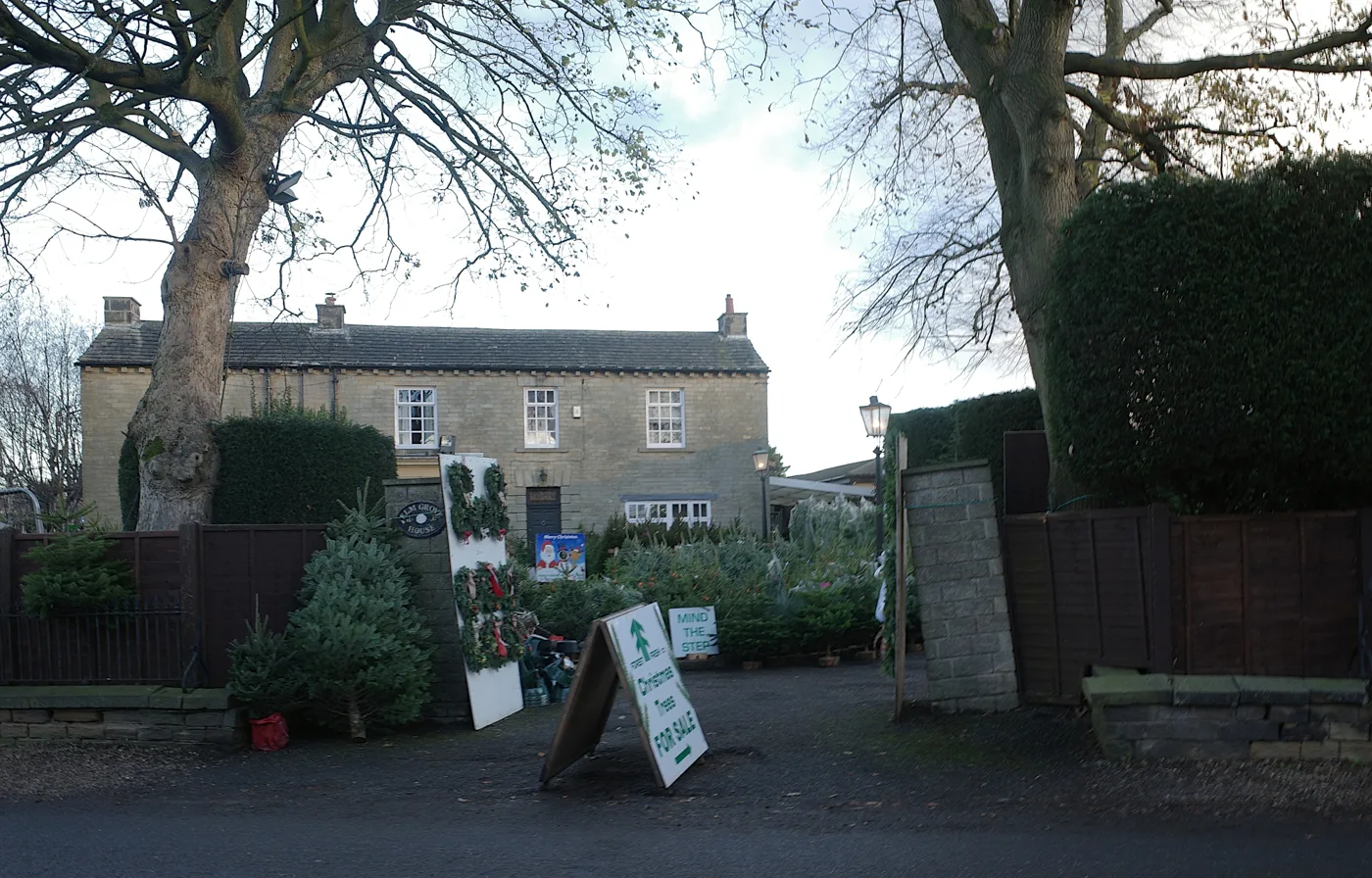 Christmas trees for sale at Elm Grove House, Mirfield, West Yorkshire.